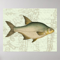 Poisson d'eau douce sur la carte
