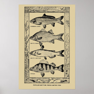 Poster Poisson d'eau douce vintage populaire par Louis Rh