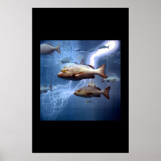 Poster poisson et foudre