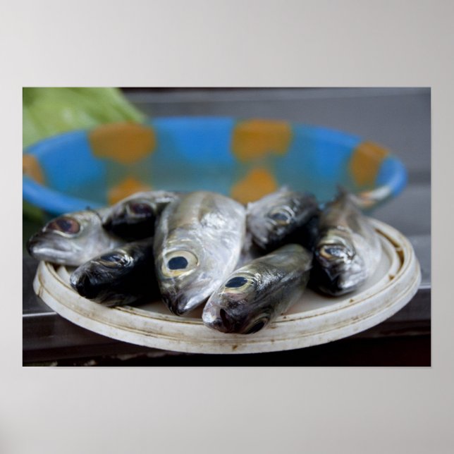 Poster Poisson frais sur le marché aux poissons Mercado d (Devant)