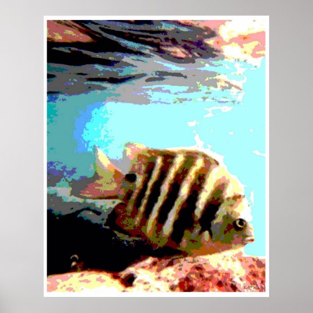 Poster Poisson hawaïen (Devant)