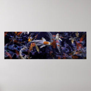 POSTER POISSON KOI AU-DESSUS DU FLUX #2