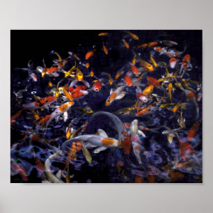 POSTER POISSON KOI EN FLEURS
