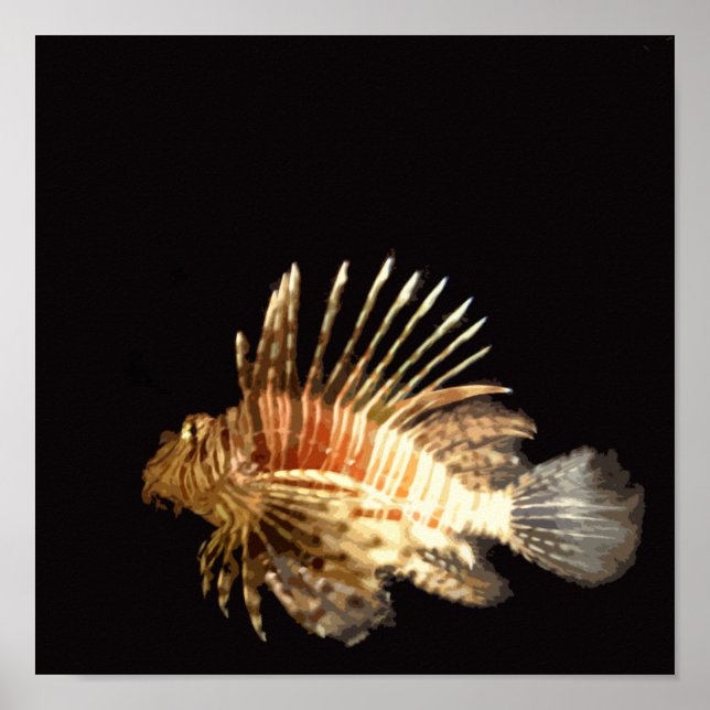 Poster Poisson-Lion dans le noir (Devant)