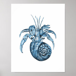 Poster Poisson littoral mer mer bleu marine mer