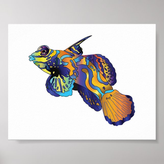 Poster - Poisson mandarin (Devant)
