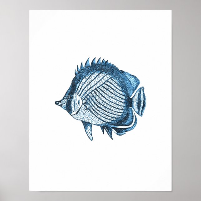 Poster Poisson mer mer mer mer mer mer (Devant)
