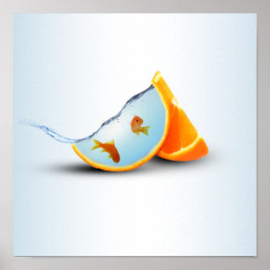 Poster Poisson orange et rouge