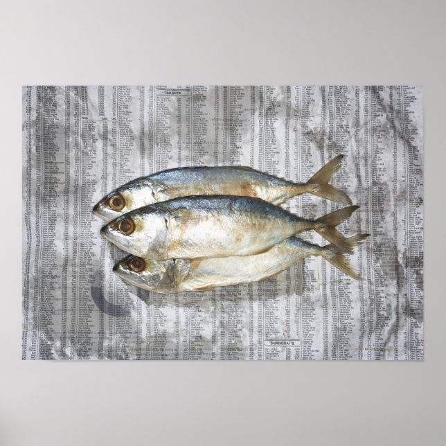 Poster Poisson sur le journal financier, vue élevée (Devant)