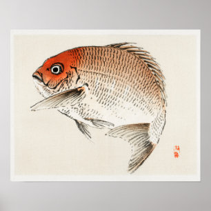 Poster Poisson taï (mer Rouge) par Kōno Bairei (1844-1895