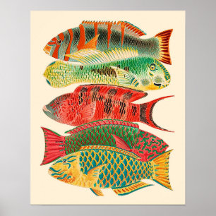 Poster poisson tropical vintage