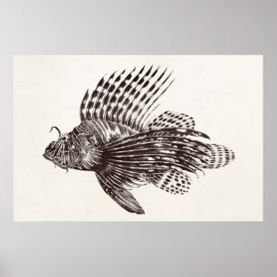 Poster Poisson vintage 1905 Scorpionfish Retro Lion Fish