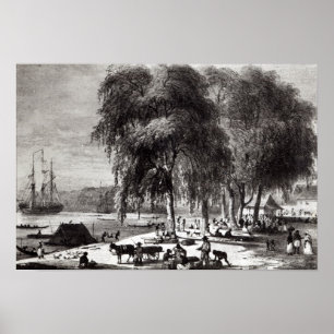 Poster Poissonnerie, Paramribo