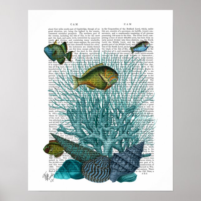 Poster Poissons, coquillages bleus et coraux (Devant)