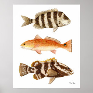 Poster Poissons de jeu d'eau salée