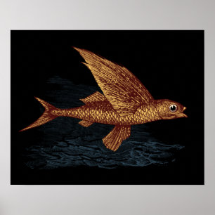Poster Poissons de vol