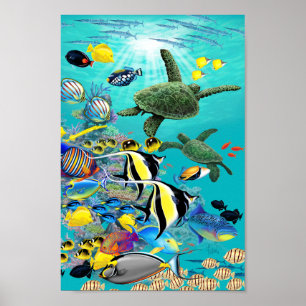 Poster Poissons et mer tropicaux hawaïens Turtl de crique