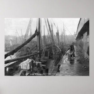 Poster Poissons, Grimsby, début du 20e siècle