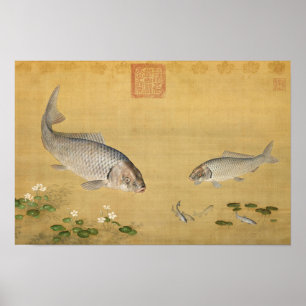 Poster Poissons & plantes aquatiques par Giuseppe Castigl