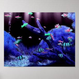 Poster Poissons tropicaux
