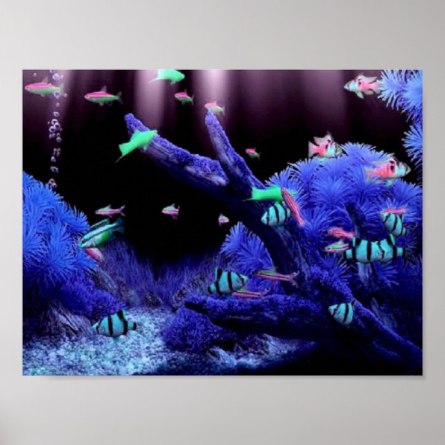 Poster Poissons tropicaux (Devant)