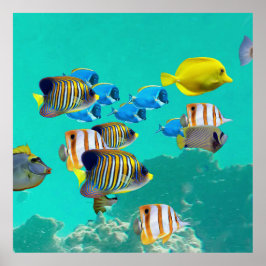 Poster Poissons Tropicaux Colorés Croisant Sur Une Barriè