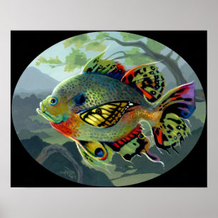 Poster Poissons Volants : Etude II ART IMPRIMER poisson v