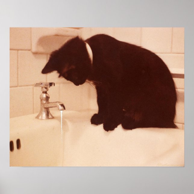 Poster Poivre Chat noir Antique Salle de bain (Devant)