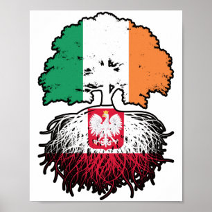 Poster Poland Polish Irish Ireland Tree Roots Flag