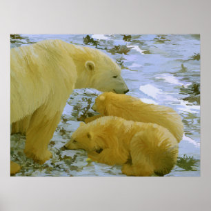 Poster Polar Bear maman et ses petits papier imprimé