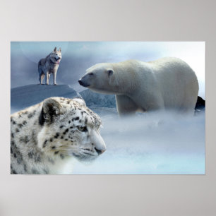 Poster Polar Ours-Husky-Snow Leopard