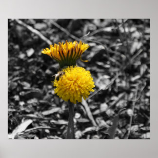 Poster Pollinisation du début du printemps
