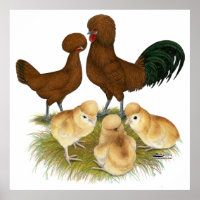 Polonais : Famille Rouge
