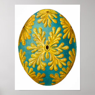 Poster Polyclinal constellatum Ernst Haeckel Fine Art