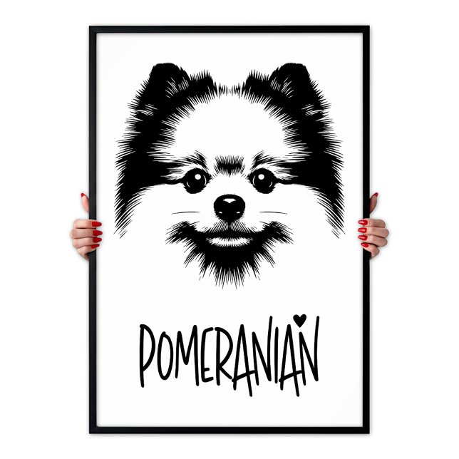Poster Pomeranian Pop Art Black & White Chic Aesthetic (Pomeranian Pop Art Black & White Chic Aesthetic Poster)