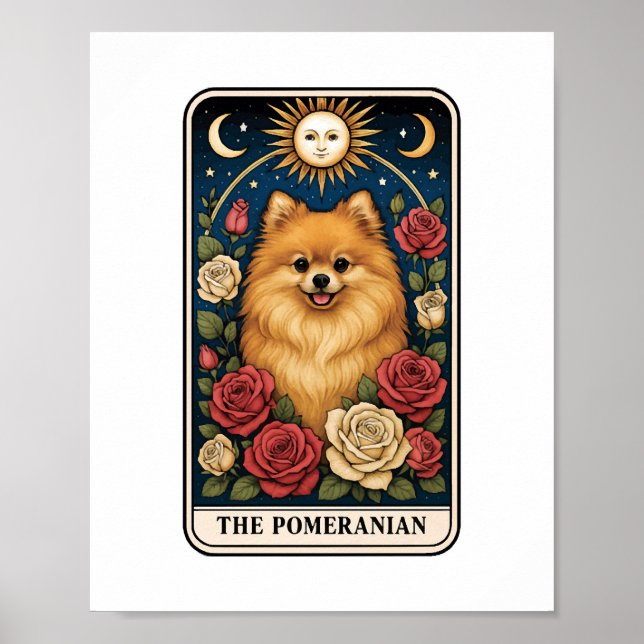 Poster Poméranien (Devant)