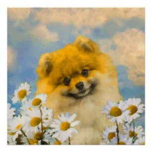 Poster Poméranien dans Daisies Peinture - Art Chien origi