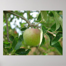 Poster Pomme verte