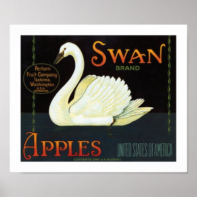 Poster Pommes de marque de cygne (Devant)