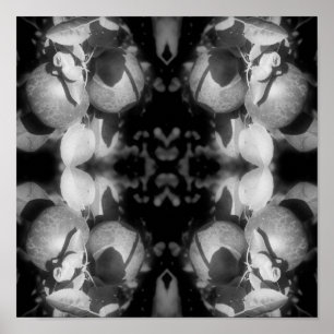 Poster Pommes McIntosh Sur Arbre Noir Et Blanc Abstrait