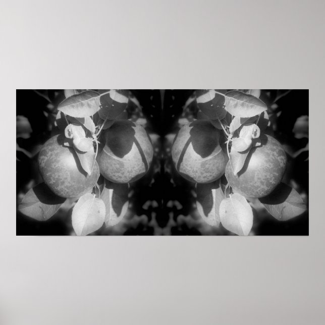 Poster Pommes Sur Arbre Noir Et Blanc Miroir Abstrait (Devant)