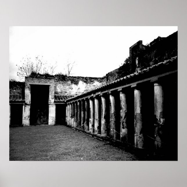 Poster Pompéi (Devant)