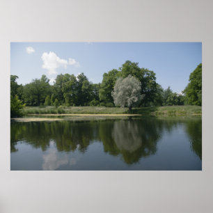 Poster Pond