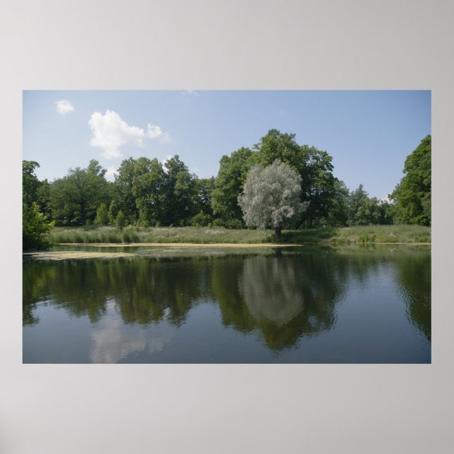 Poster Pond (Devant)