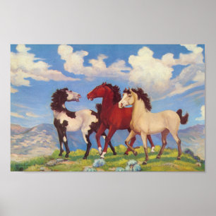 Poster Poneys de vache occidentaux
