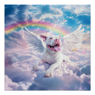 Poster Pont arc-en-ciel, chien blanc au ciel