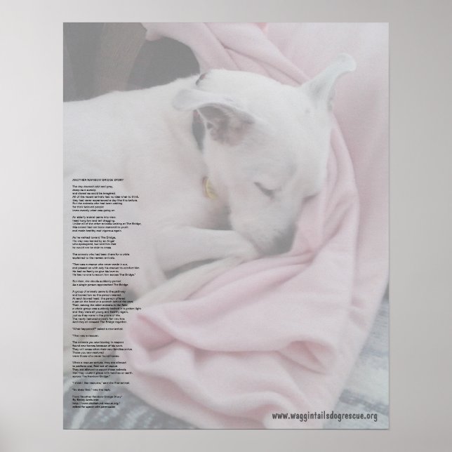 Poster Pont arc-en-ciel du sauveteur (édité) (Devant)