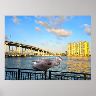 Poster Pont Blue Heron. Riviera Beach. Floride