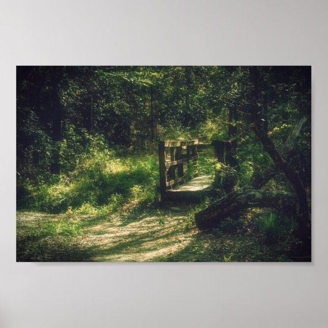 Poster Pont dans les bois (Devant)