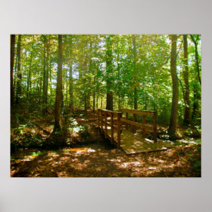 Poster Pont dans les Bois